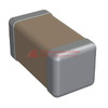 1206Y0631P20DCT Image